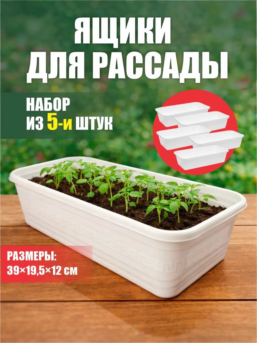 Комплект из 5-ти ящиков для рассады для подоконника пластиковый 390*195*120