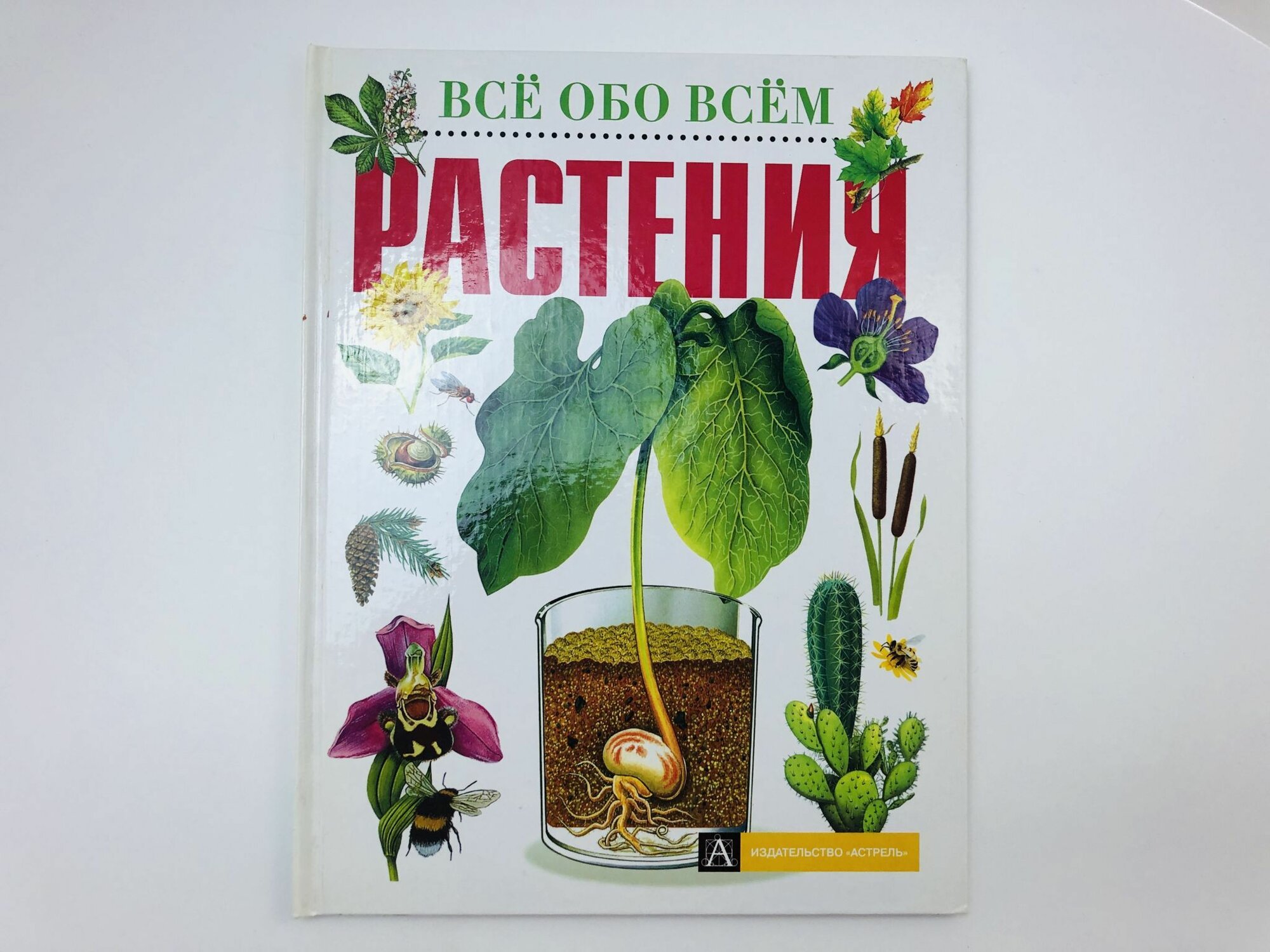 Растения