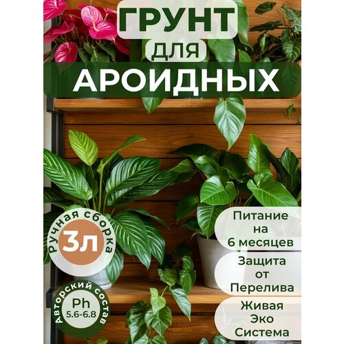 фото Готовый авторский грунт для ароидных, премиум 3 литра деметра