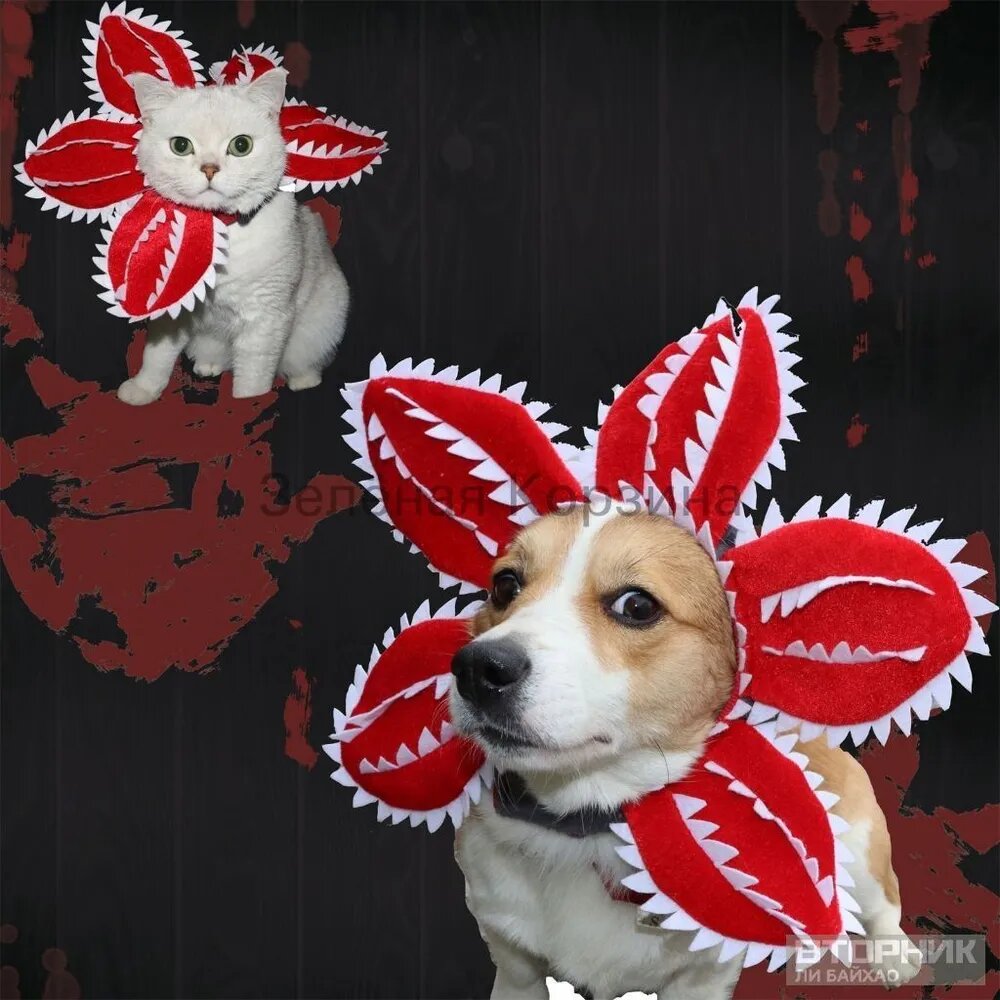 Бафф