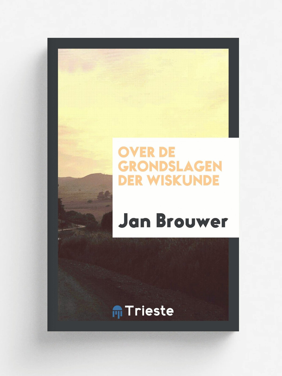 Over de grondslagen der wiskunde