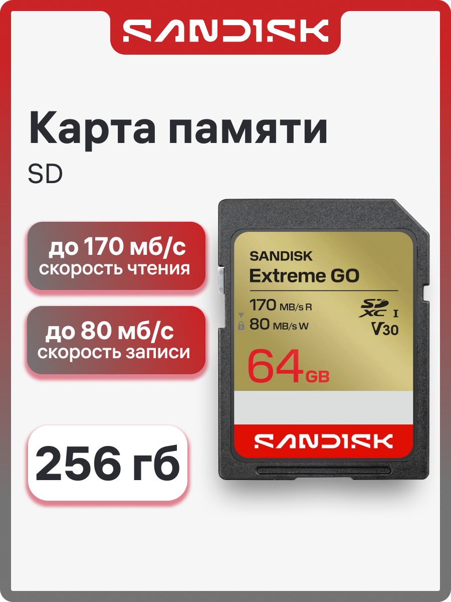 Карта памяти SanDisk 64 ГБ Extreme Go, SD-card , V30 U1 (SDSDXGN-064G-GNCIN)