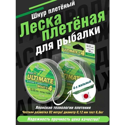 Шнур плетёный ALLVEGA 