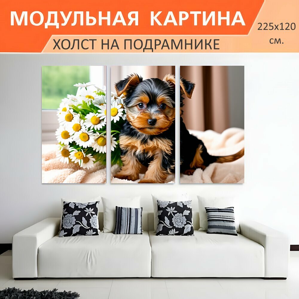 Модульная картина на холсте "Щенок йоркширского терьера с букетом белых ромашек на мягком покрывале в солнечной комнате с окном и." триптих на подрамнике 225х120 см. для интерьера