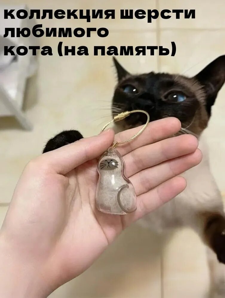 Мини-капсула для хранения кошачьей шерсти, ручная работа, Образцы шерсти домашних животных, DIY