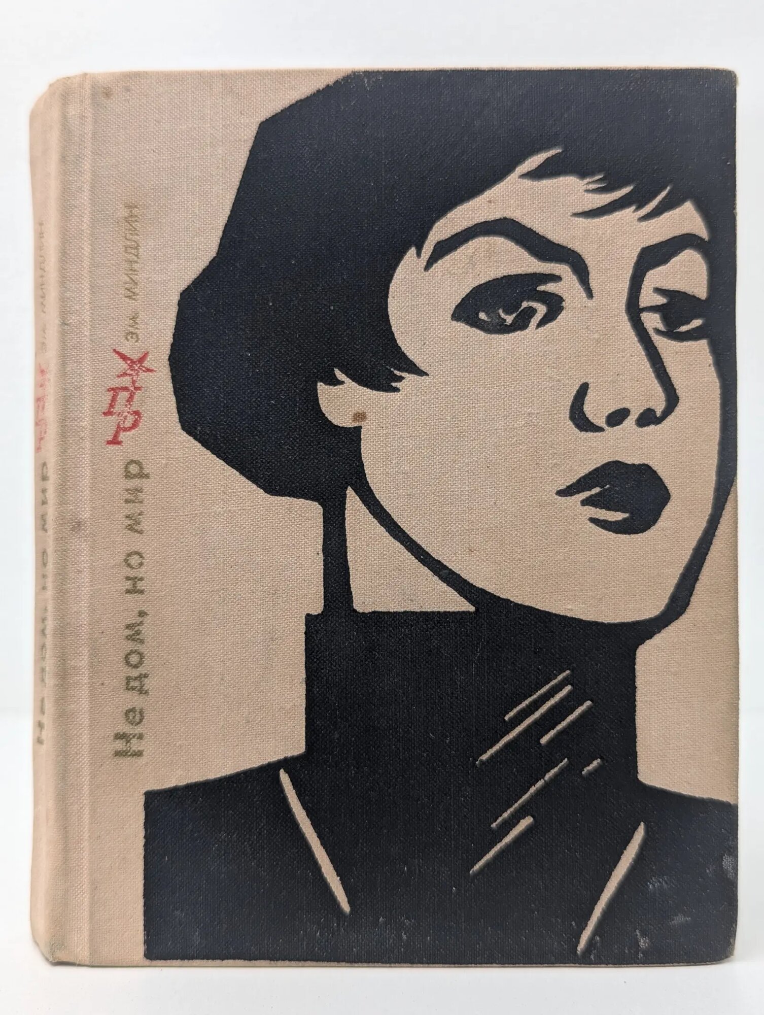Пламенные революционеры. Не дом, но мир Миндлин Эмилий Львович 1978
