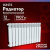 Фото Oasis Pro 500
