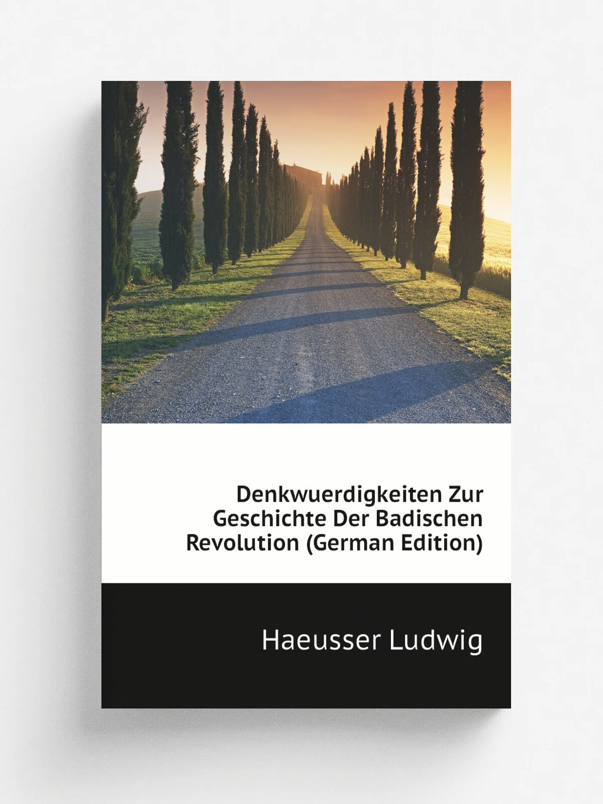 Denkwuerdigkeiten Zur Geschichte Der Badischen Revolution (German Edition) | Haeusser Ludwig | Репринт