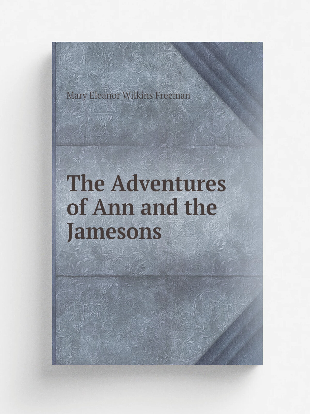 The Adventures of Ann and the Jamesons | Mary Eleanor Wilkins Freeman | Репринт