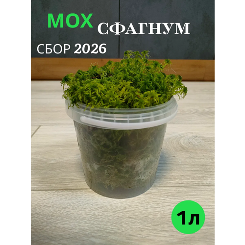 фото Мох сфагнум свежий лесной 1л