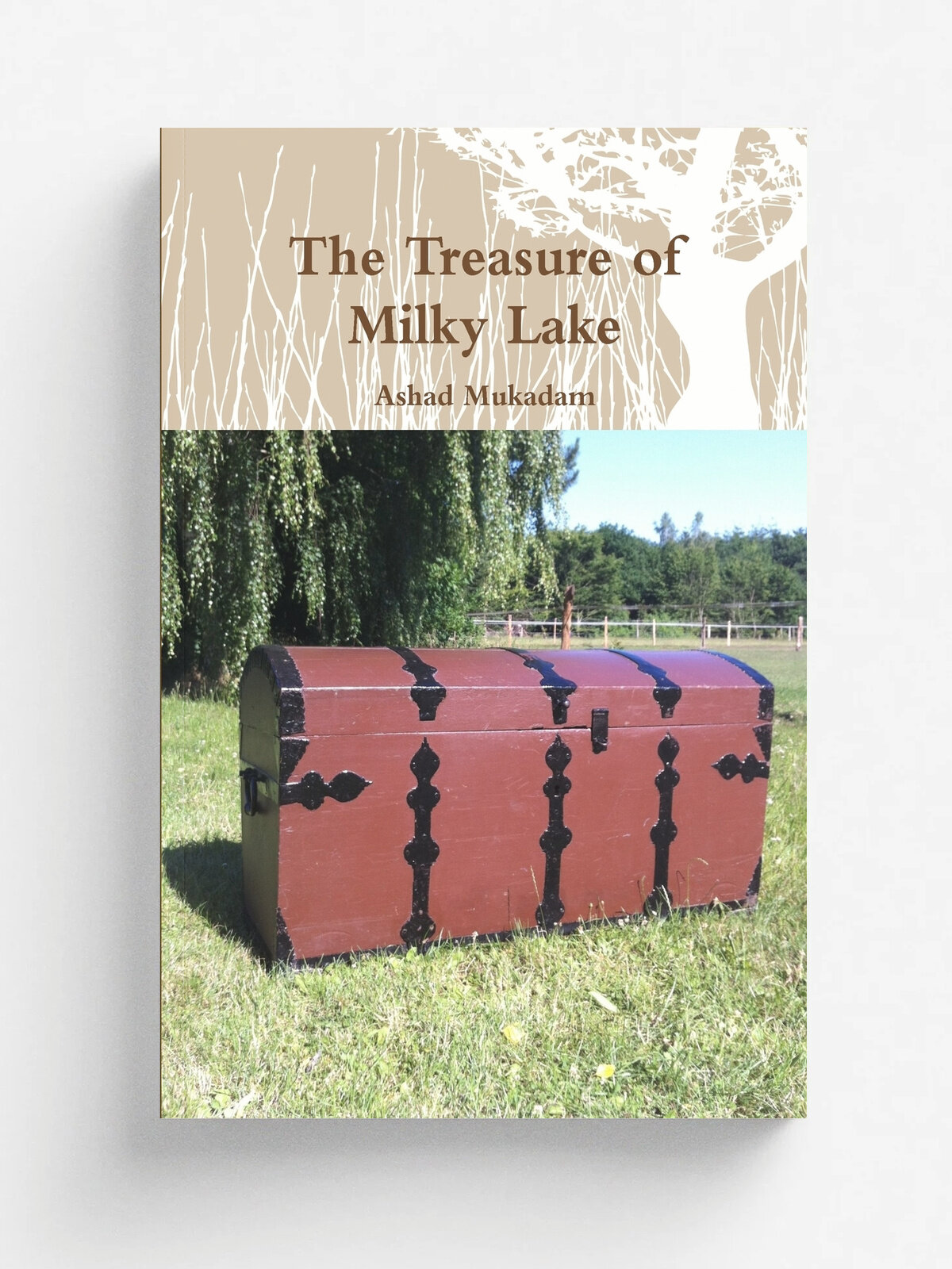 The Treasure of Milky Lake