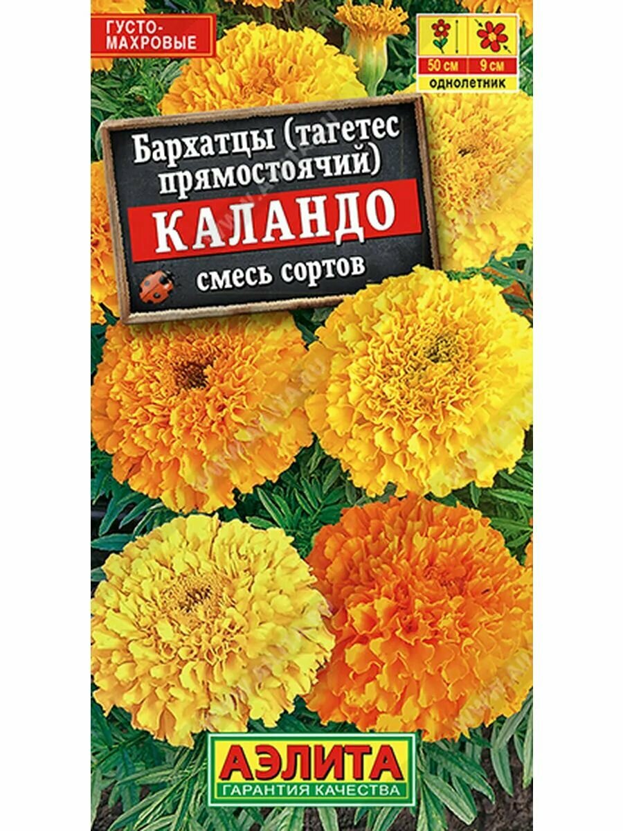 Бархатцы Каландо прямостоячие, смесь сортов