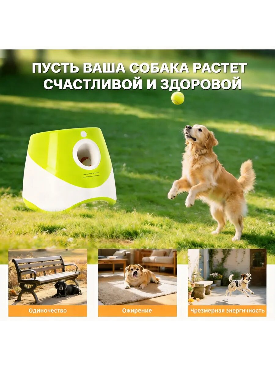 Автоматический мячемет для собак Интеллектуальная игрушка