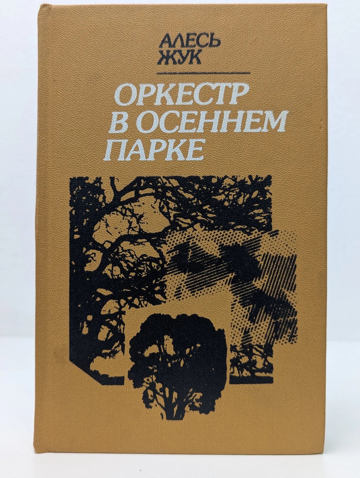 Оркестр в осеннем парке Жук Алесь 1987
