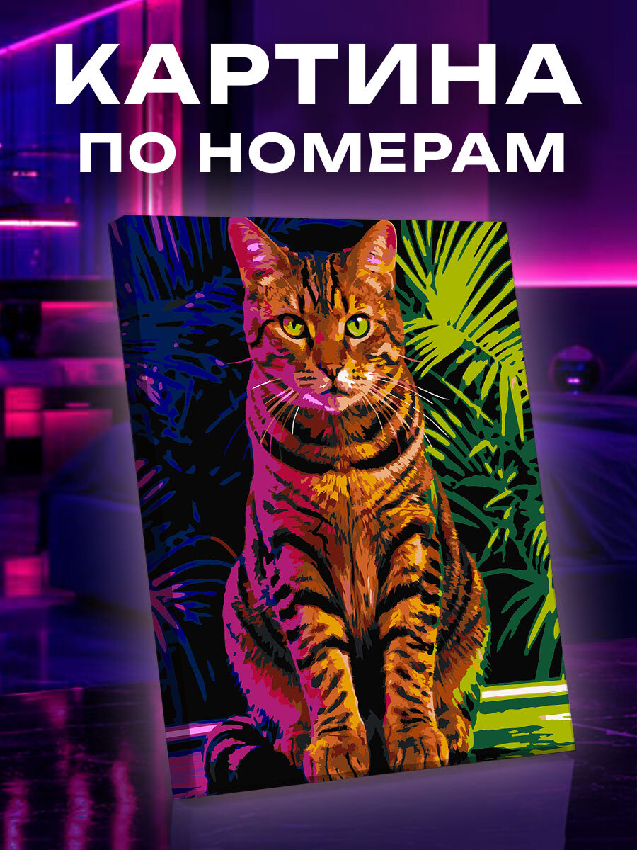 Картина по номерам Кот