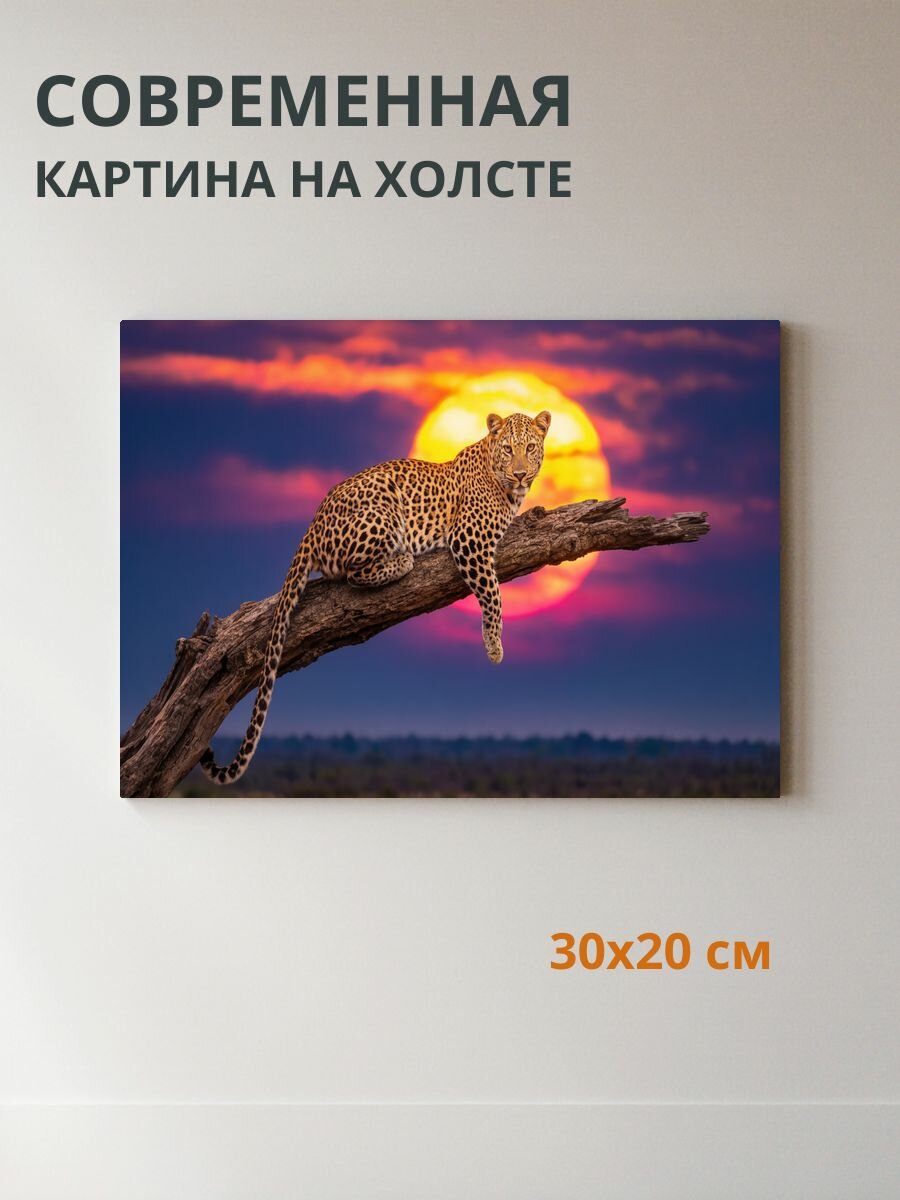 Картина на холсте Леопард в дикой природе 30x20 см