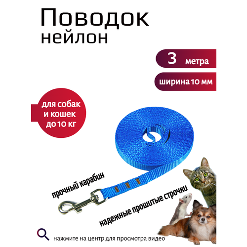 фото Поводок хвостатыч с карабином нейлон для мелких пород 3 м х 10 мм (голубой)