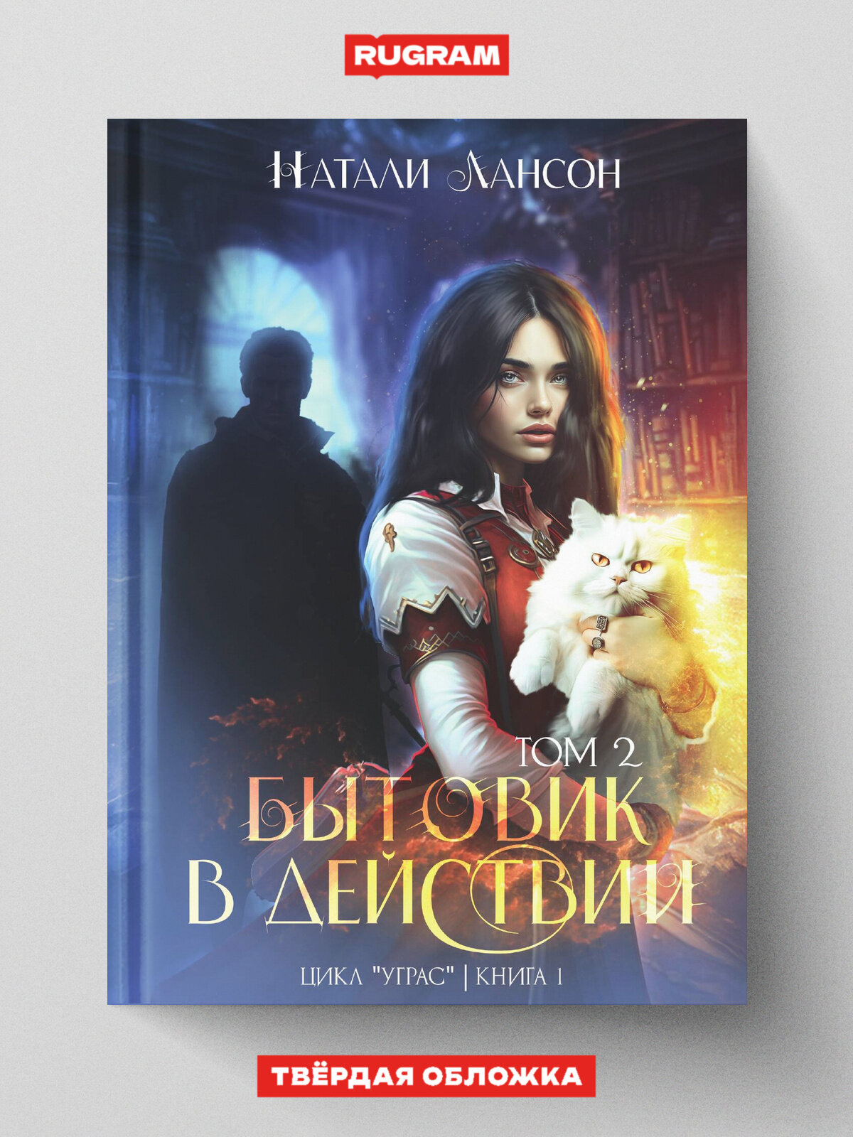 Бытовик в действии 2