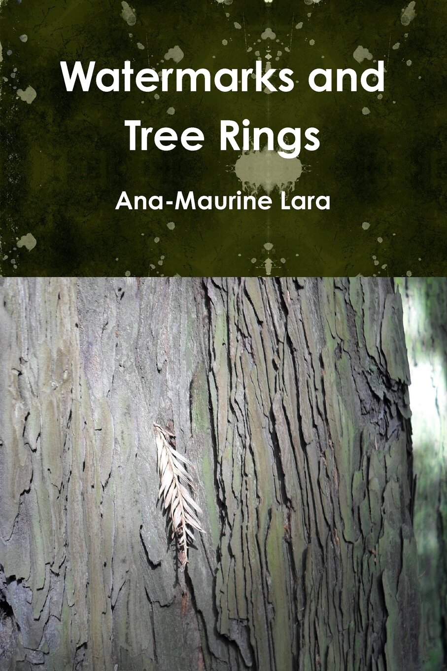 Watermarks and Tree Rings — фото 1