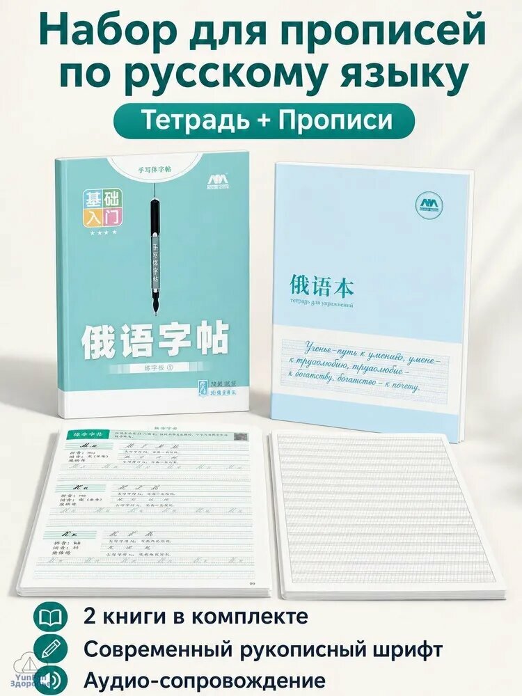 Набор для каллиграфии, толщина линии: 0.1 мм, 0 шт. BcsOzon提示：请稍等，正在为您跳转.