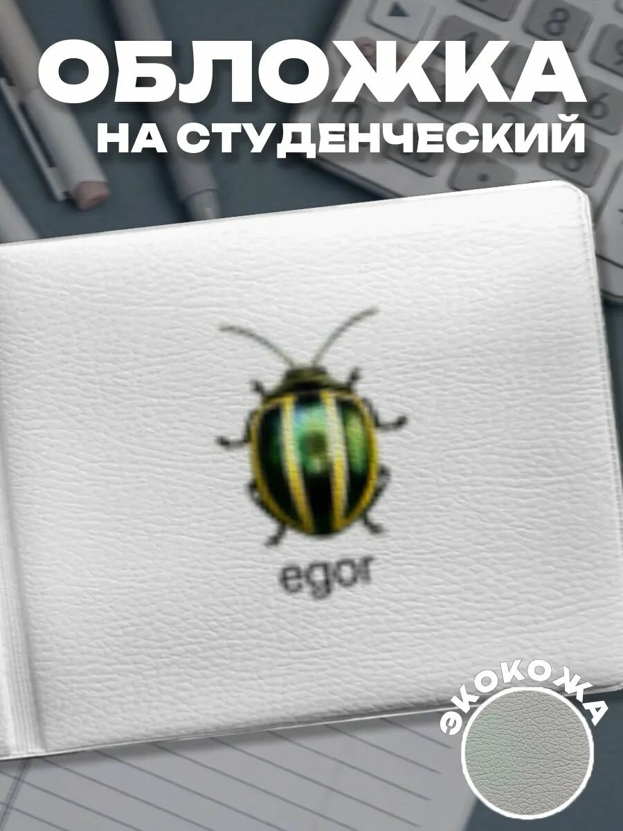 Обложка для студенческого билета