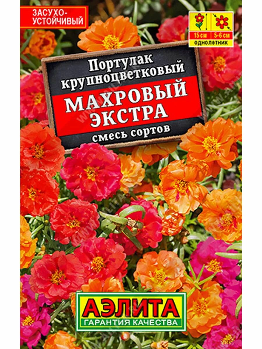 Портулак махровый Экстра, смесь сортов