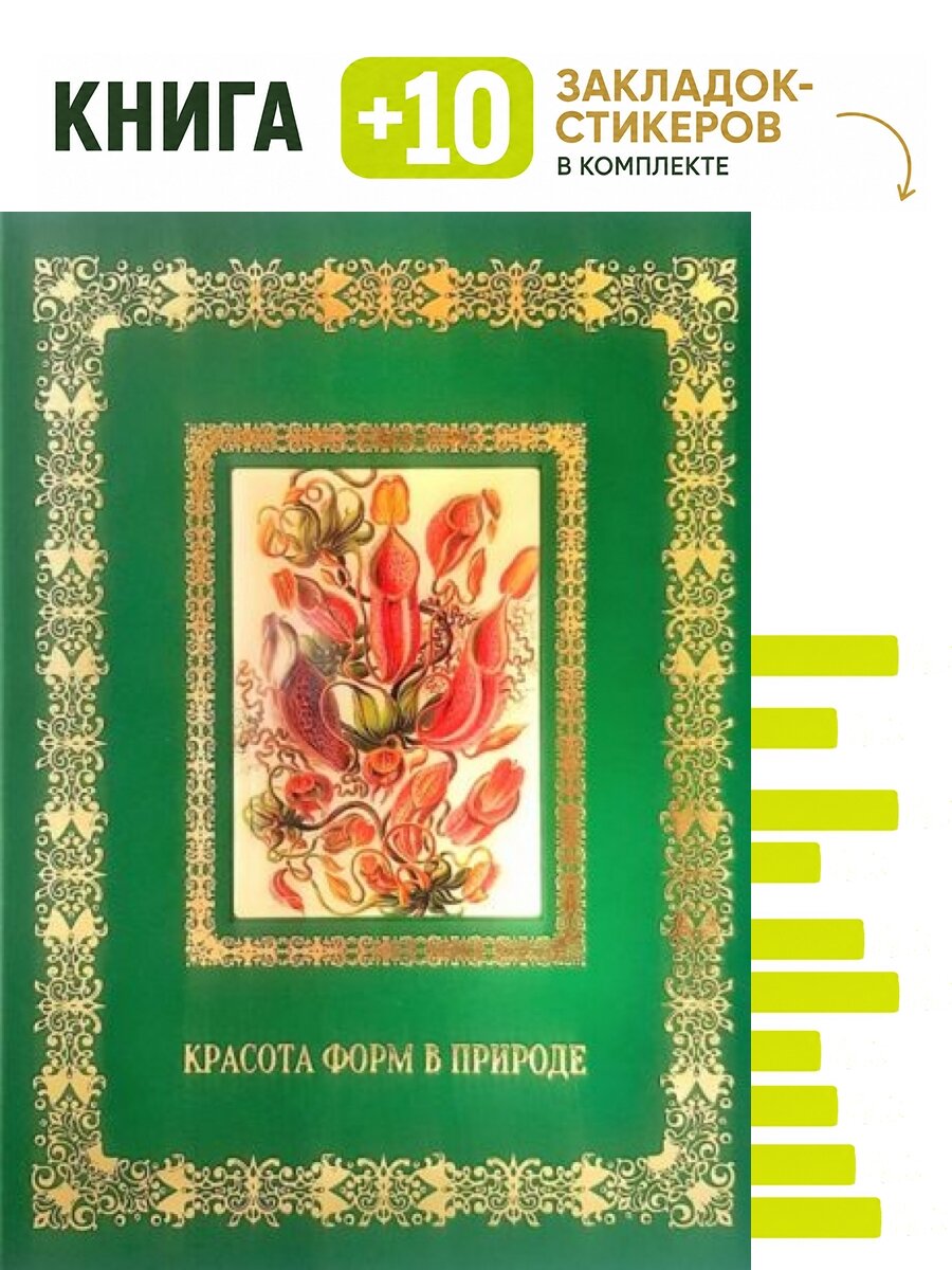 Красота форм в природе. Комплект: книга + 10 закладок-стикеров