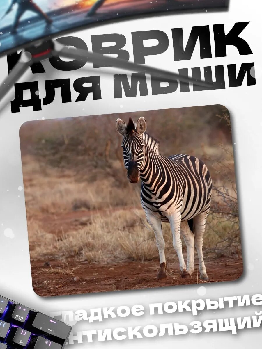 Коврик для мыши Зебра в саванне