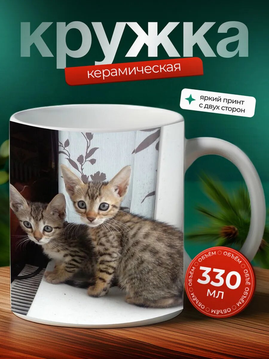 Кружка Серенгети кот 34,
