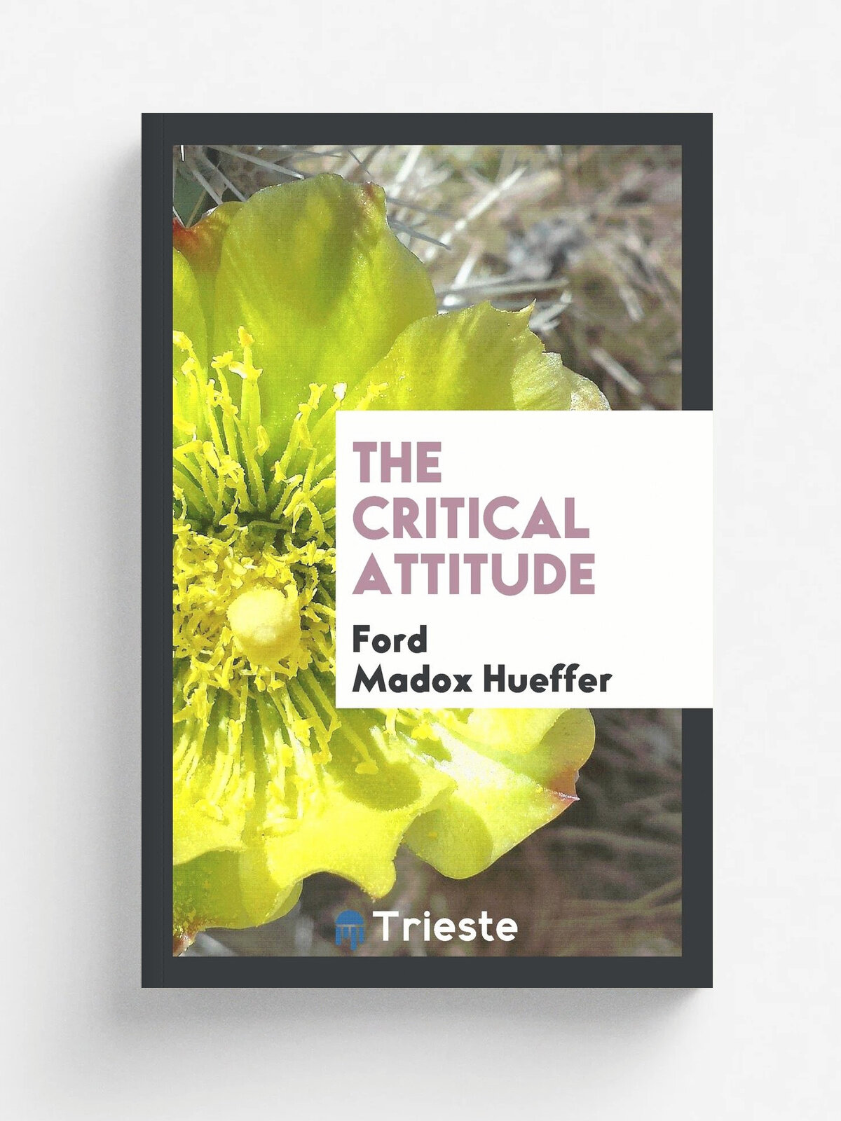 The critical attitude