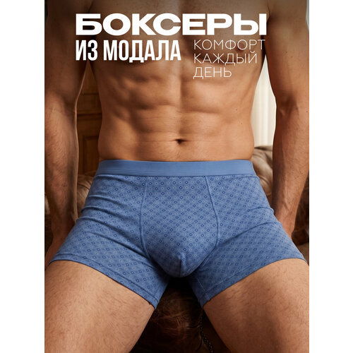 фото Трусы sergio dallini, размер m, голубой