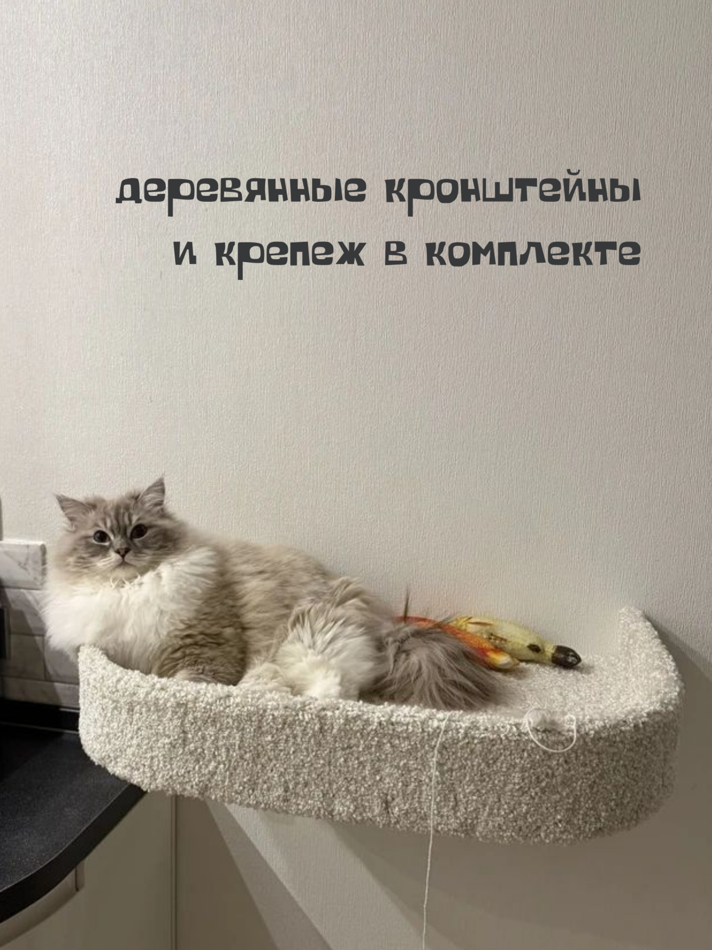 Лежанка для кошек, лежанка для собак, Ван Кот, настенная, с бортиком, белый ковролин, 60х40 см — фото 1