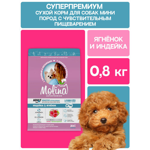 фото Сухой корм для собак мелких пород с индейкой и ягненком adult mini sensitive, 0,8 кг molina