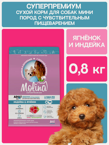 Изображение товара Сухой корм для собак мелких пород с индейкой и ягненком ADULT MINI SENSITIVE, 0,8 кг MOLINA