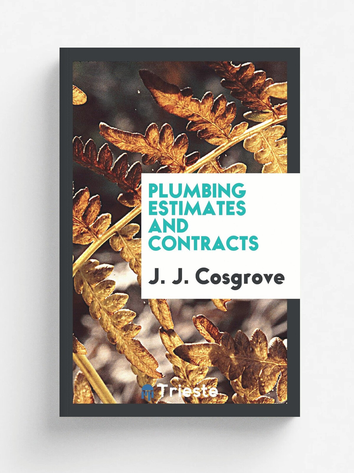 Plumbing estimates and contracts