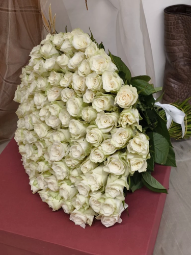 Изображение товара Букет живых цветов из Белых Роз 101 шт. высота 42 см. SIMFONI FLOWERS