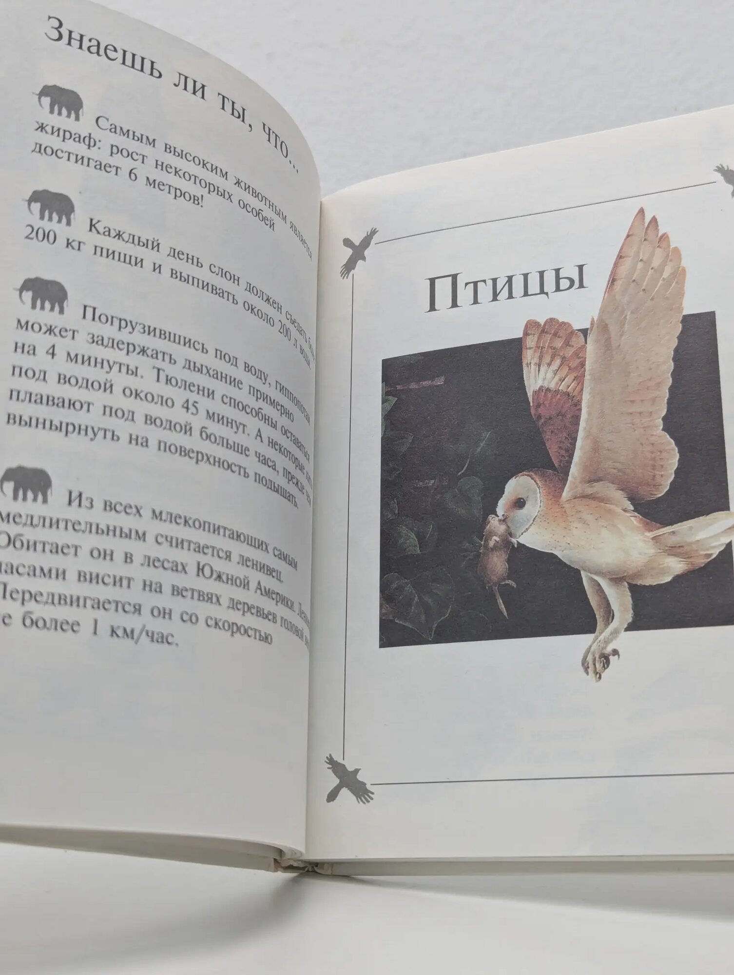 Моя первая энциклопедия. Животные Чирва Игорь, Чайнери Майкл 2001 — фото 1