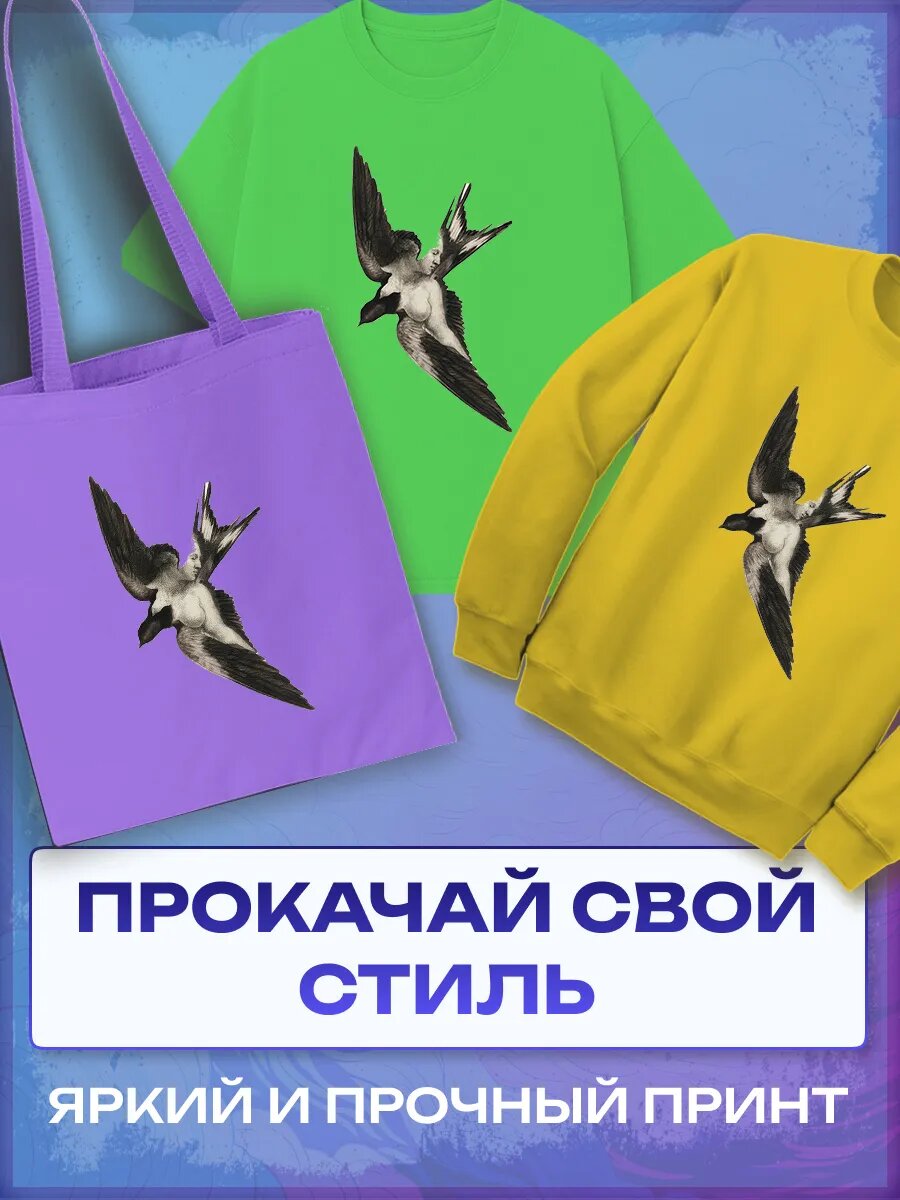 Термонаклейка Птицы — фото 1