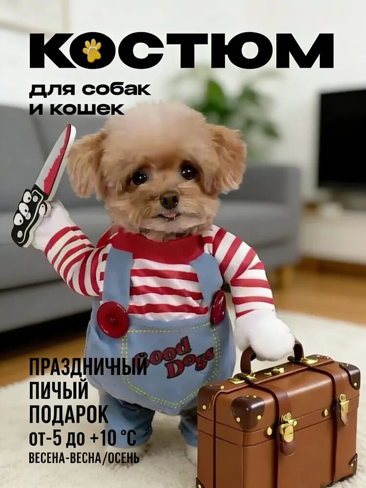 Собаки портят одежду, креативные домашние животные превращаются в костюмы