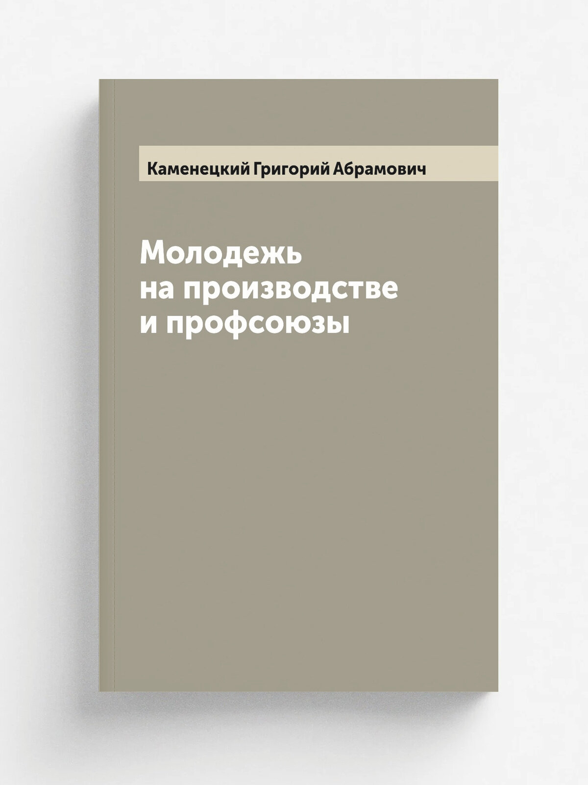 Молодежь на производстве и профсоюзы | Каменецкий Григорий Абрамович | 1926 | Москва; Ленинград. Государственное Издательство | Репринт