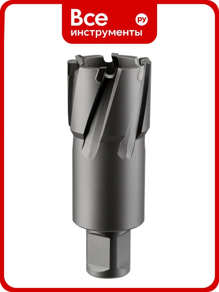 Фреза кольцевая TCT (46x55 мм; Weldon 19) ROTORICA RT.4225046