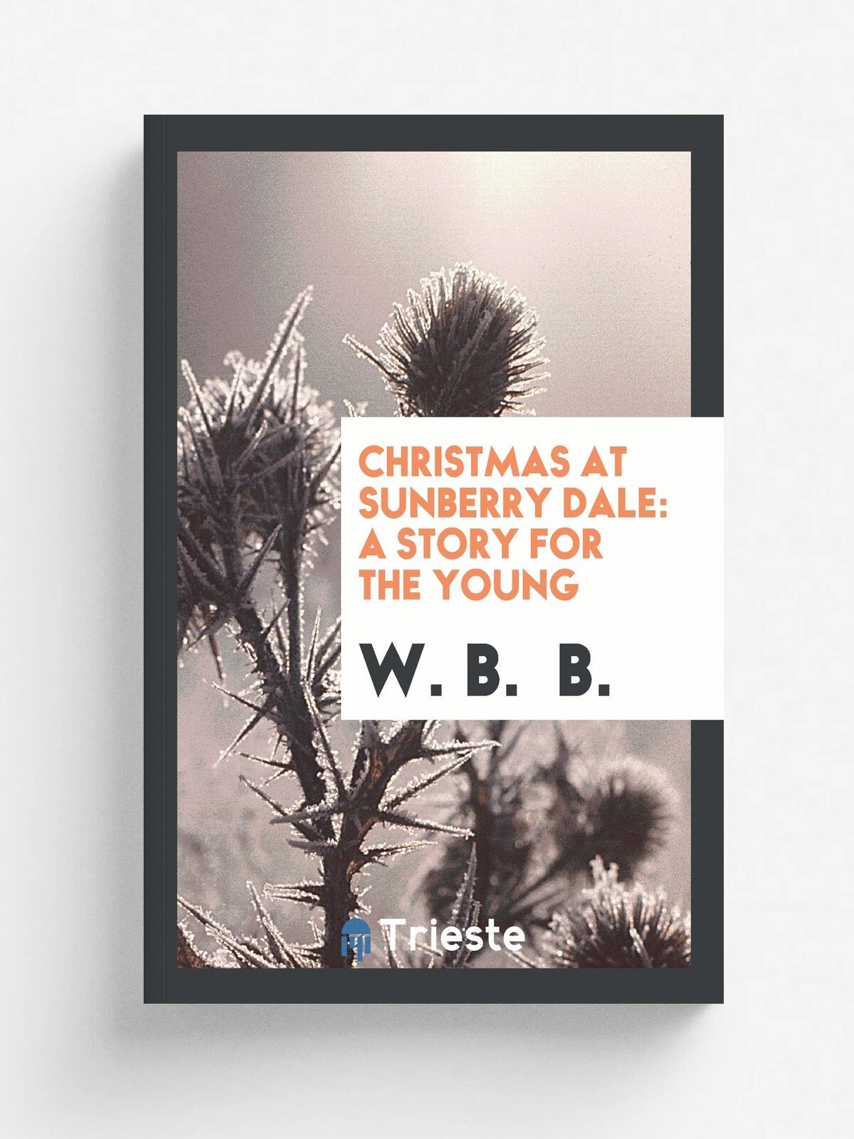 Christmas at Sunberry Dale. A Story for the Young