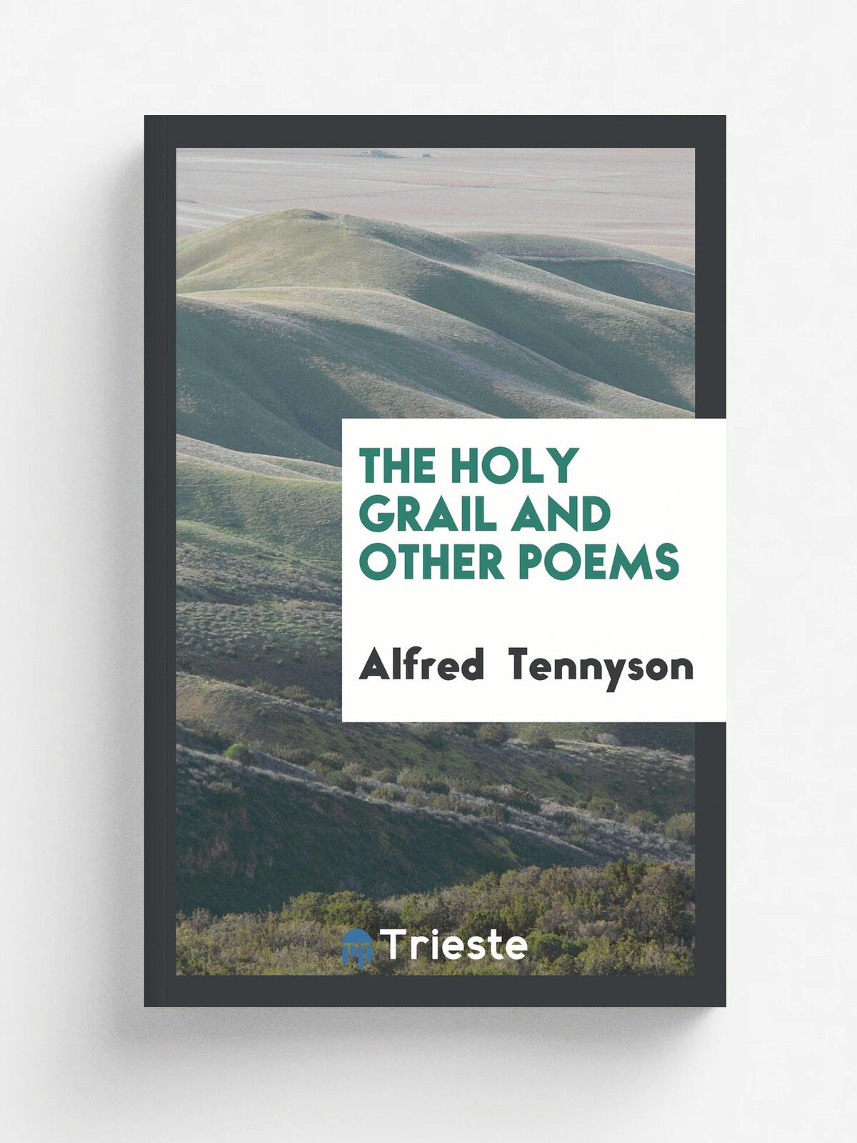 The Holy Grail and other poems