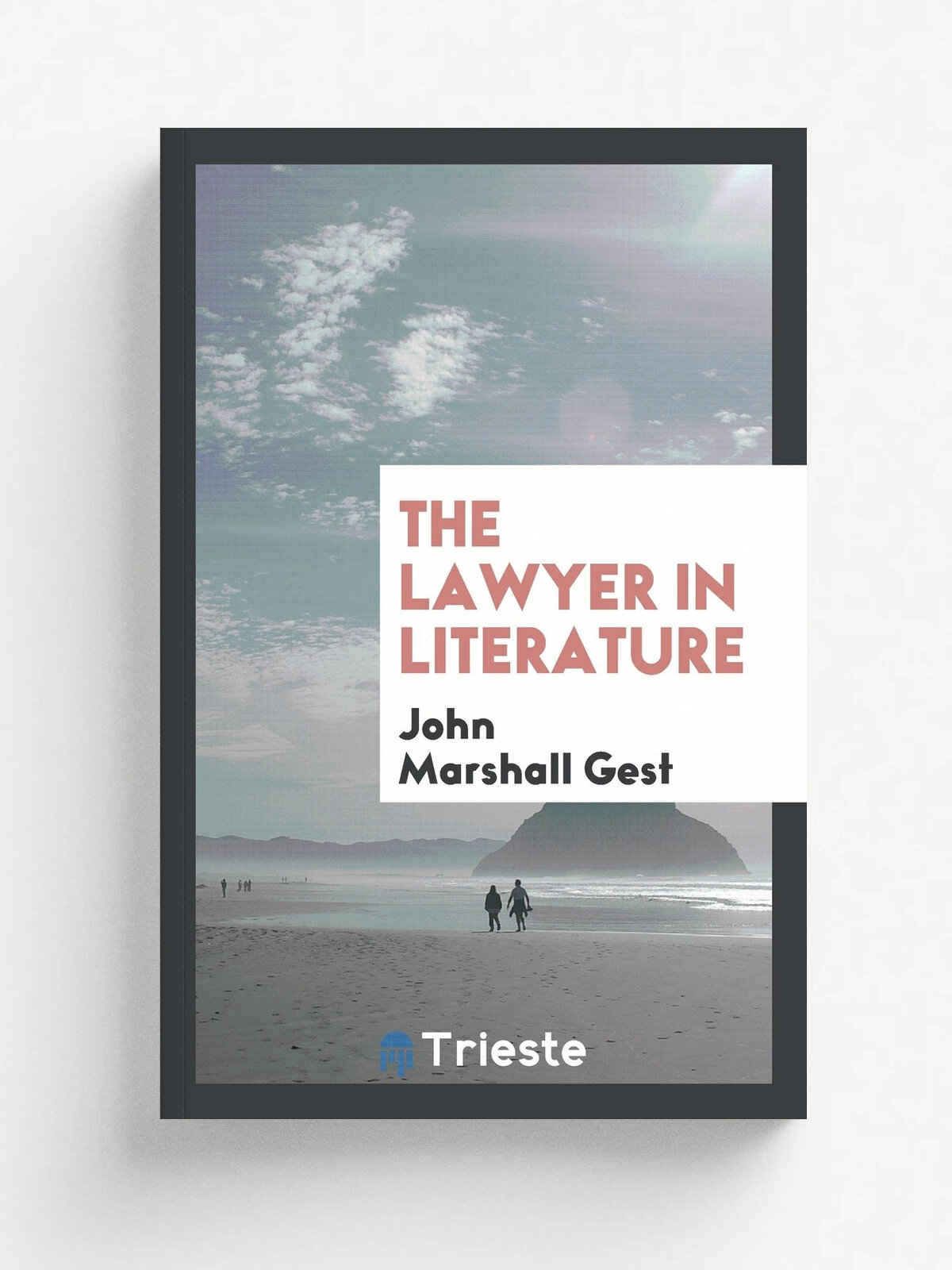 The lawyer in literature