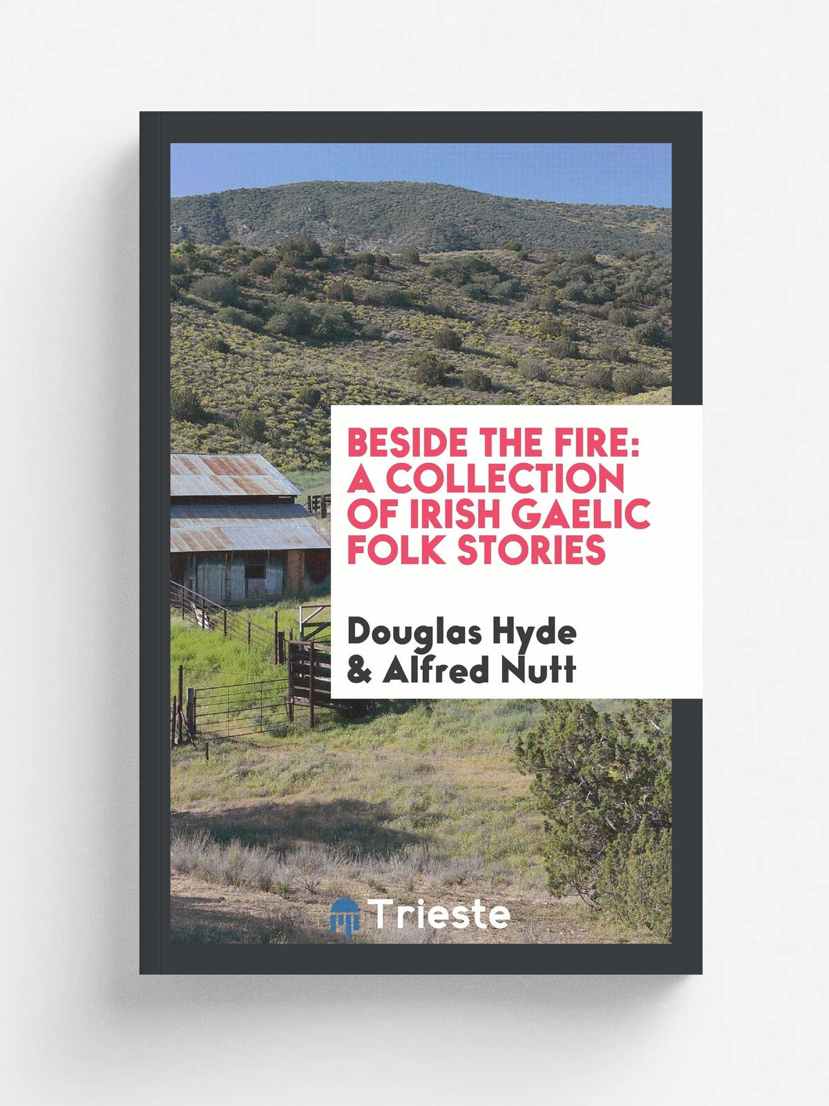 Beside the fire. a collection of Irish Gaelic folk stories