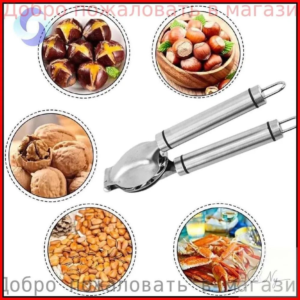 Фисташковый орех — фото 1