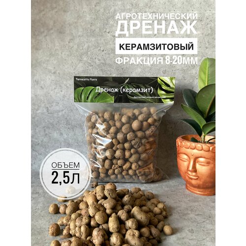 фото Керамзит для растений 2,5 литров, дренаж для цветов terracotta plant, для комнатных растений, фракция 10-20мм terracotta plants