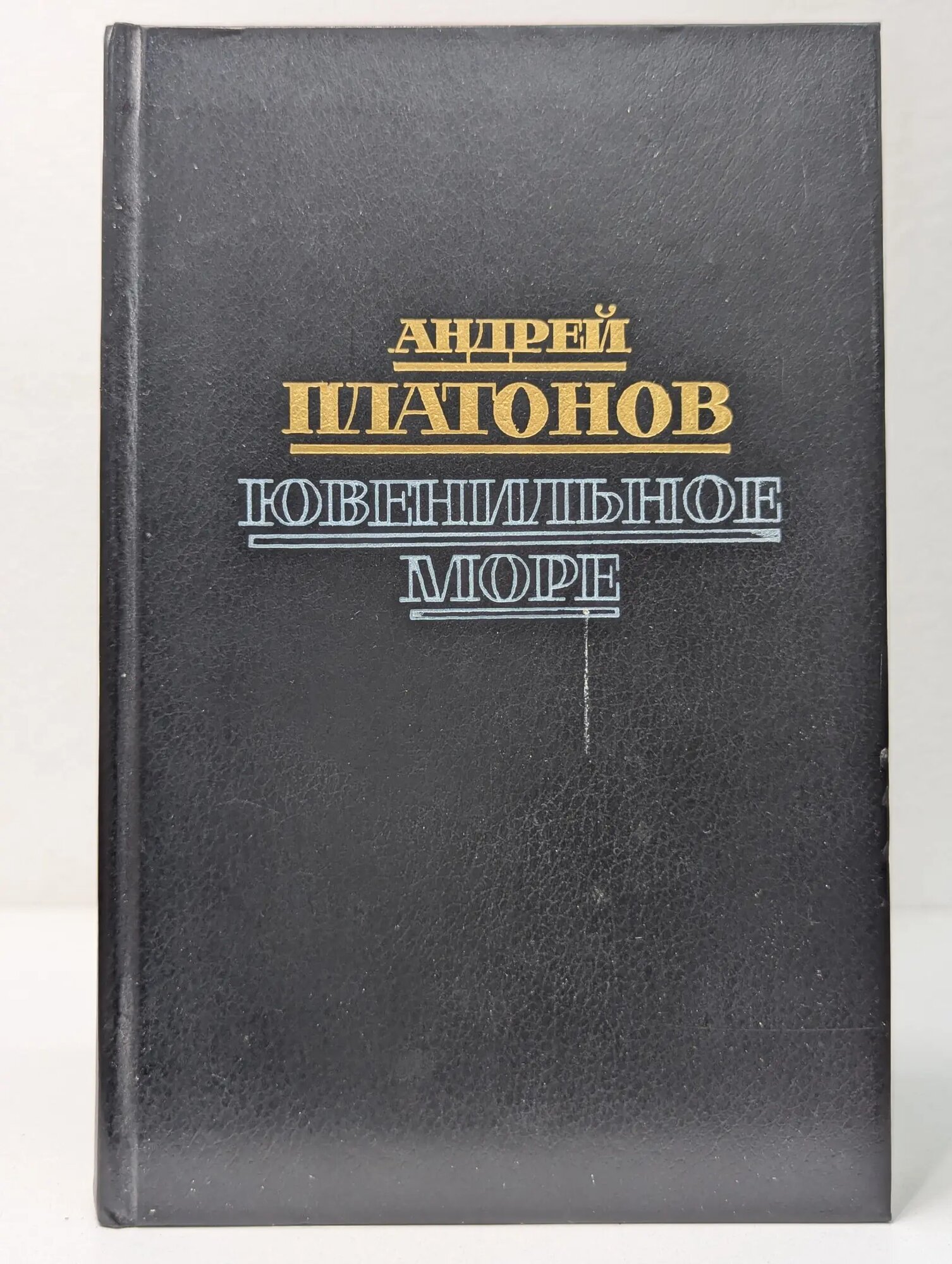 Ювенильное море Платонов Андрей Платонович 1988