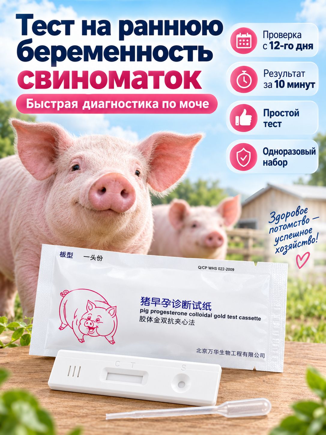 Тест на беременность для свиноматок ранний, экспресс диагностика по моче, тест-полоска для определения беременности свиней