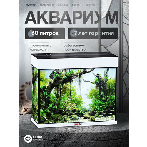 фото Аквариум 60 литров с крышкой и освещением, (57*26*49 см) аквас